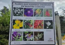 Cartelería ambiental y canto de aves: Cuesta Blanca refuerza la educación y valoración de su entorno natural