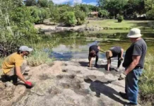 Icho Cruz realizó una nueva jornada de limpieza del río