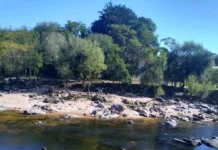 Jornada ambiental en Icho Cruz: limpieza del río y preservación del patrimonio natural