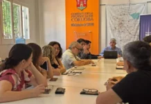 Córdoba activa un comité asesor para monitorear la variante K de la gripe H3N2