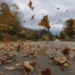 Villa Carlos Paz: alerta por viento este viernes y fuerte descenso térmico para el sábado