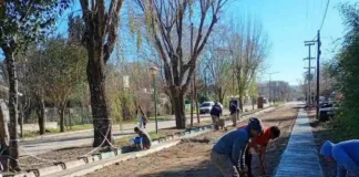 Icho Cruz completó una nueva etapa de cordón cuneta sobre Bulevar 9 de Julio