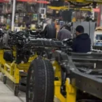 Empleo +26: buscá una empresa y sumate al mercado laboral
