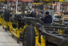 Empleo +26: buscá una empresa y sumate al mercado laboral