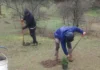 Una vecina plantó más de 40 ejemplares de especies nativas en un área protegida de Cuesta Blanca