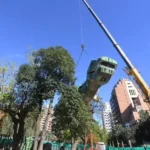 En el Parque de las Tejas ya se instala un dinosaurio gigante