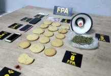 Vendían galletas de marihuana con un megáfono en la Fiesta de la Primavera y fueron detenidos en Villa Carlos Paz