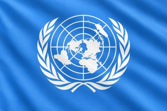Organización de las Naciones Unidas - ONU - LJ